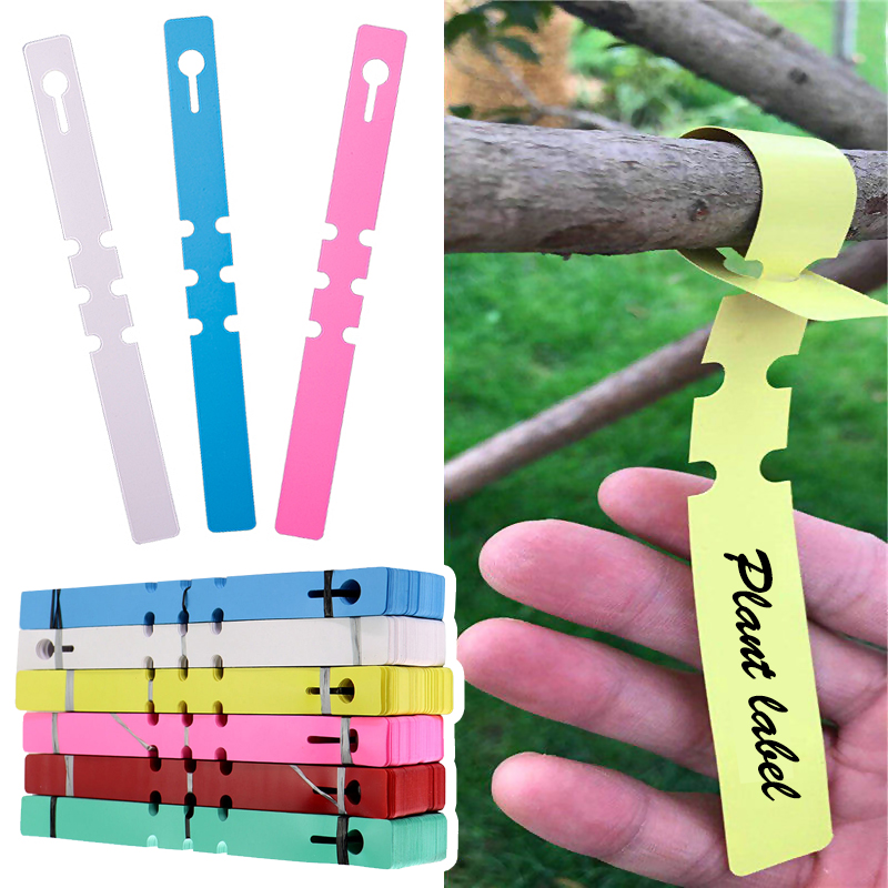50pcs Waterproof Plant Markers - огляд і ціна Gardening Tools Labeled