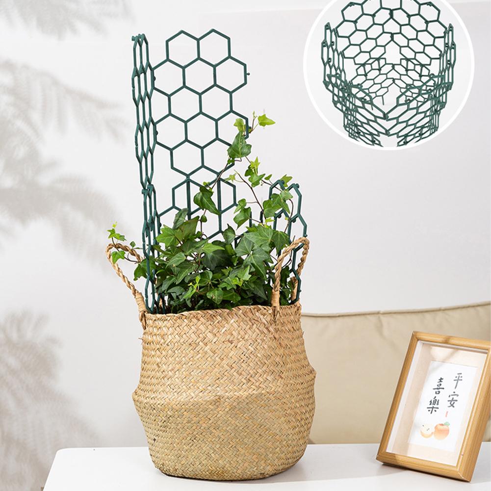 1/2/5Pcs Plastic Plant Support - огляд і ціна Gardening Tools For Vines