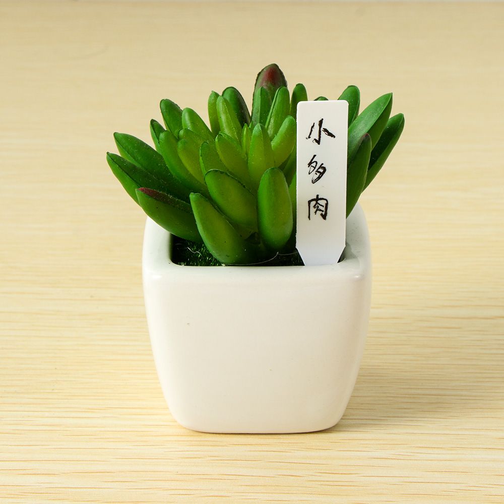 100Pcs Mini Plastic Plant Seed - огляд і ціна Gardening Tools Labeled