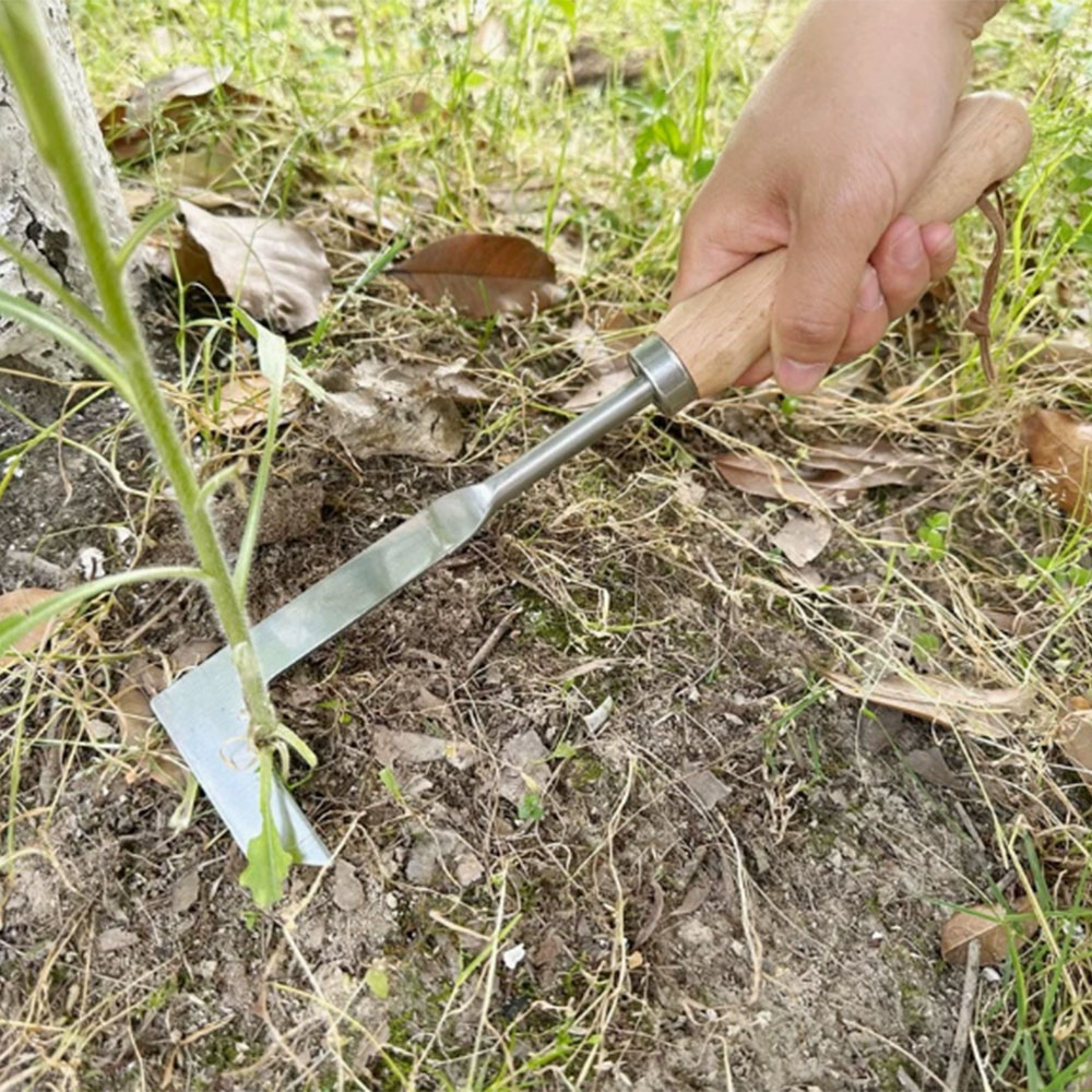 Stainless Steel Gap Weeding To - огляд і ціна Gardening Hand Tools Yard