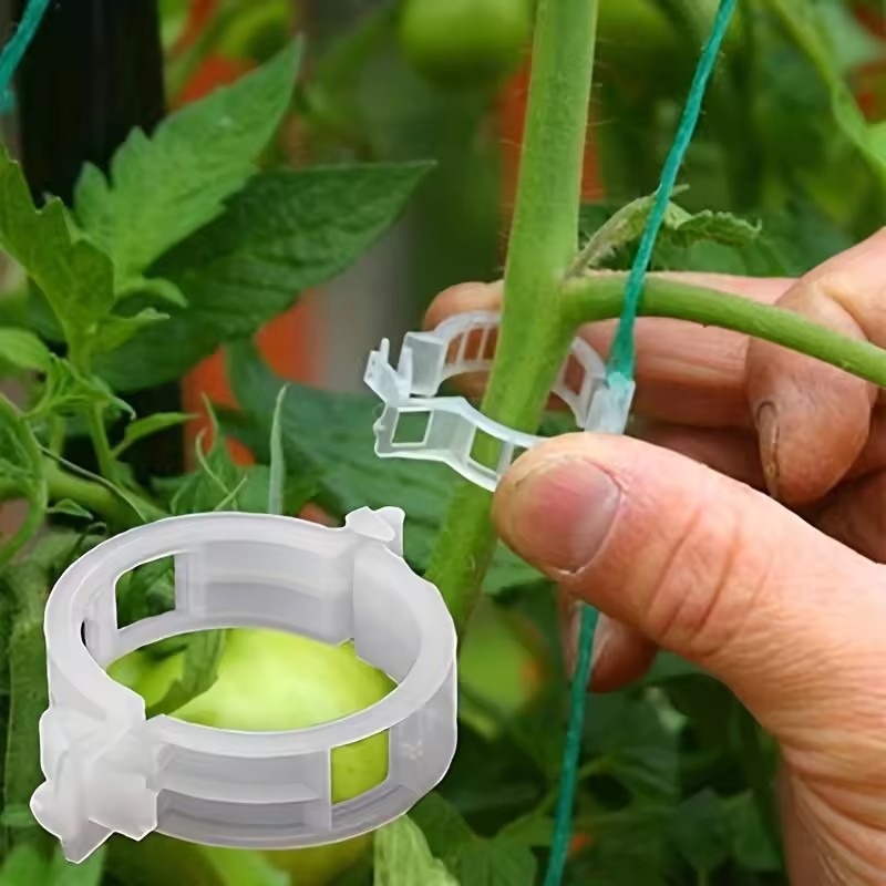 20Pcs Plant Clips Supports Reu - огляд і ціна Gardening Tools For Vines