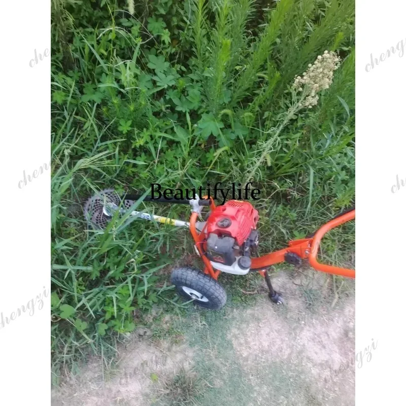 L178 Lawn mower hand push lawn - огляд і ціна Gardening Tools And Equipment