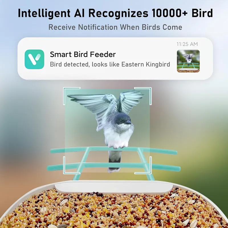 Smart Bird Feeder Camera with  - огляд і ціна Gardening Tools Video