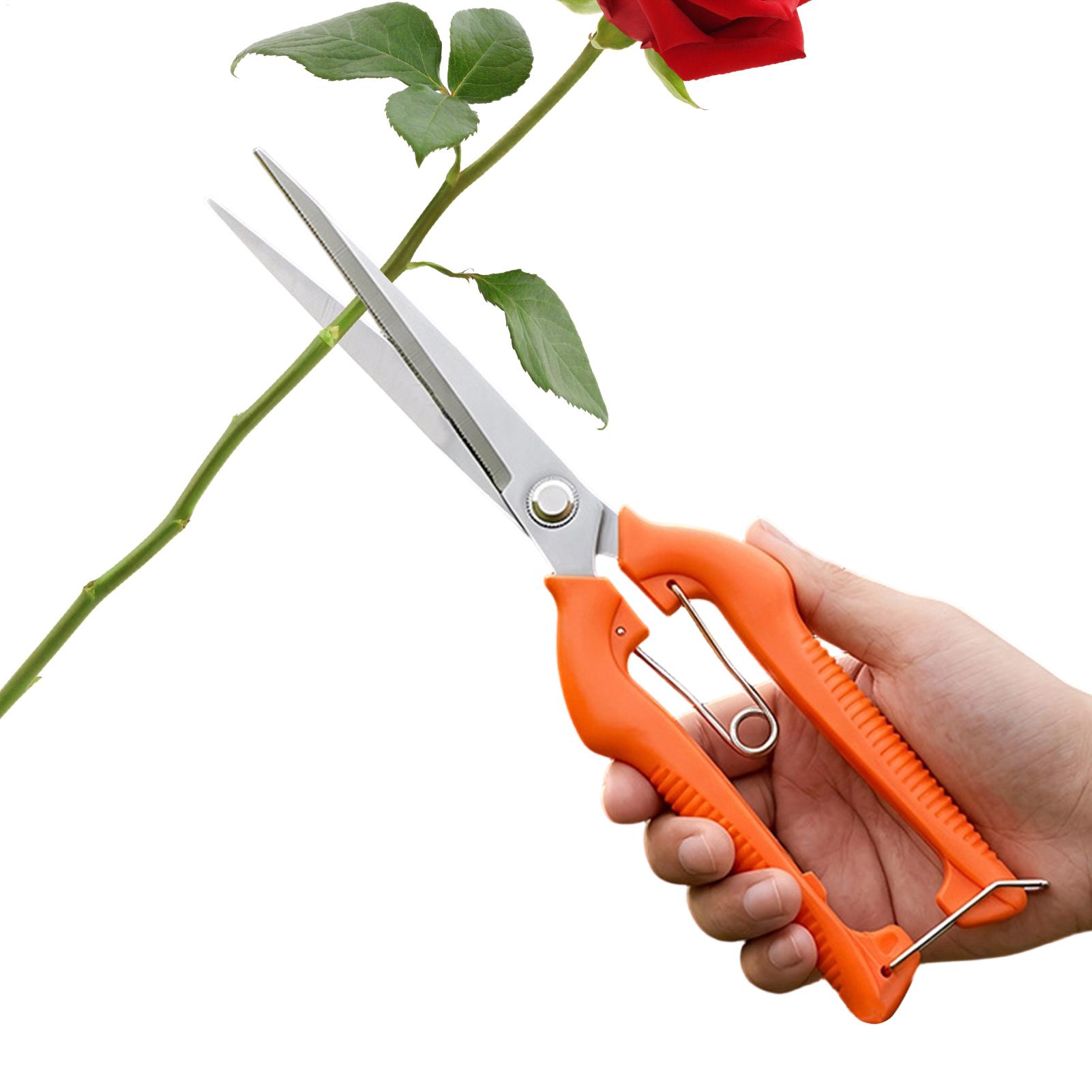 Pruning Shears Grape Scissors  - огляд і ціна Gardening Tools For Beginners