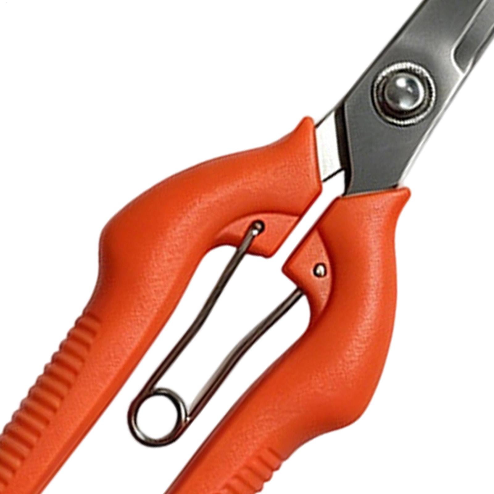 Pruning Shears Grape Scissors  - огляд і ціна Gardening Tools For Beginners