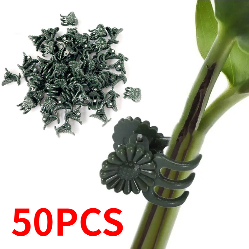 50PCS 5-Claw Dark Green Plant  - огляд і ціна Gardening Tools For Vines