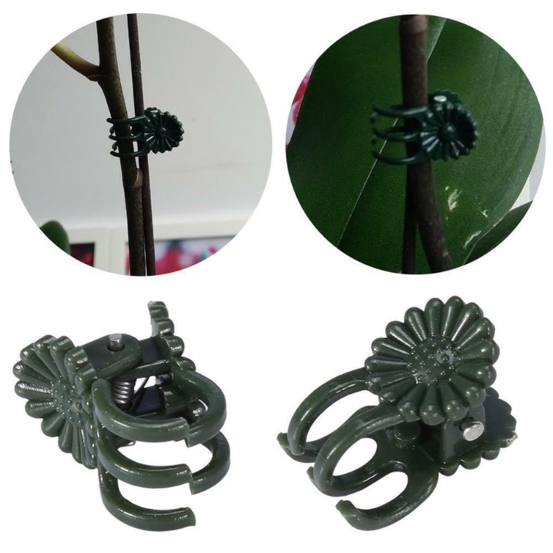 50PCS 5-Claw Dark Green Plant  - огляд і ціна Gardening Tools For Vines