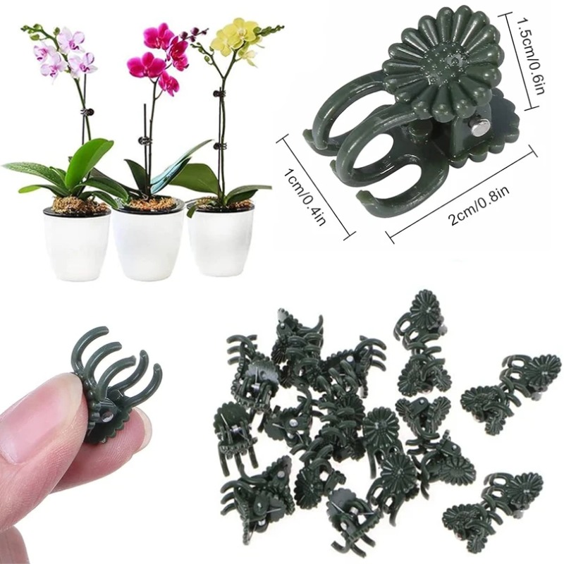 50PCS 5-Claw Dark Green Plant  - огляд і ціна Gardening Tools For Vines