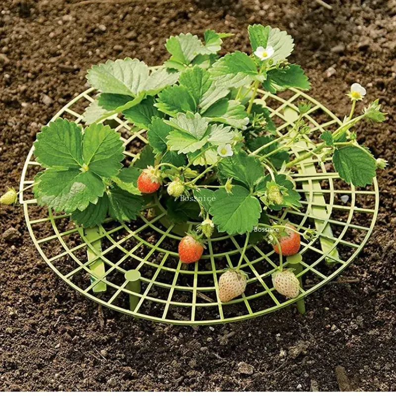1Pc Strawberry Plant Support R - огляд і ціна Gardening Tools For Vines