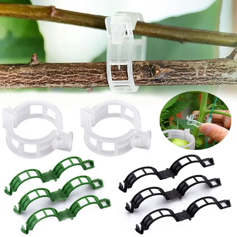 100PCS Plant Fixing Clips Reus - огляд і ціна Gardening Tools For Vines