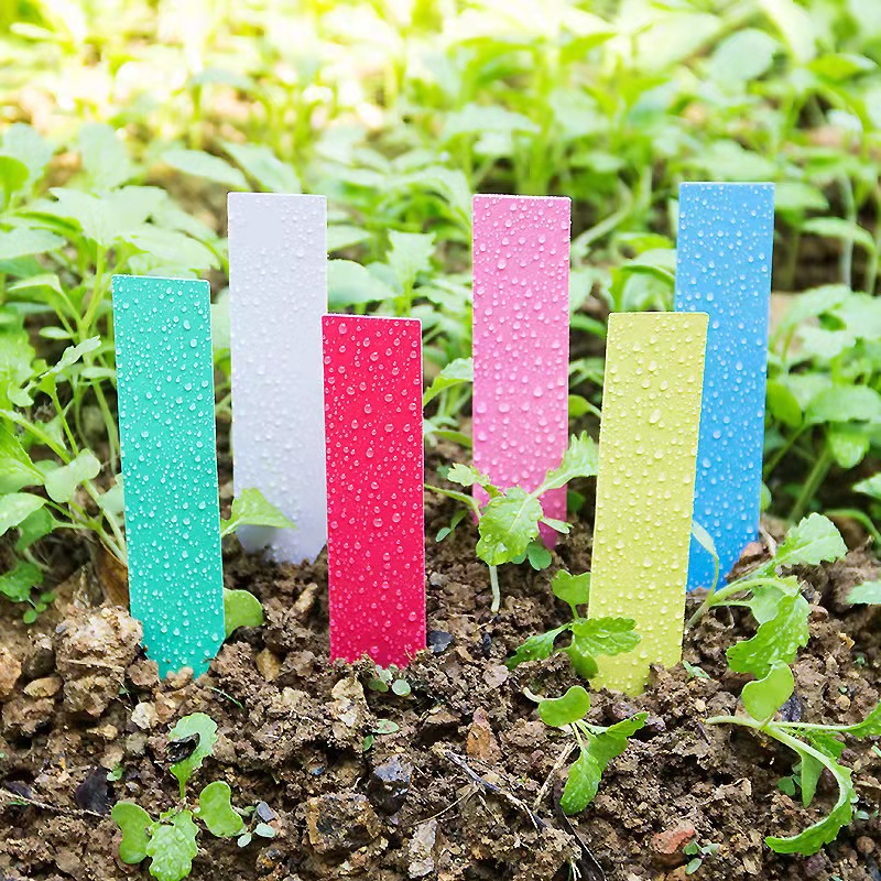100Pcs Garden Plant Labels Pla - огляд і ціна Gardening Tools Labeled