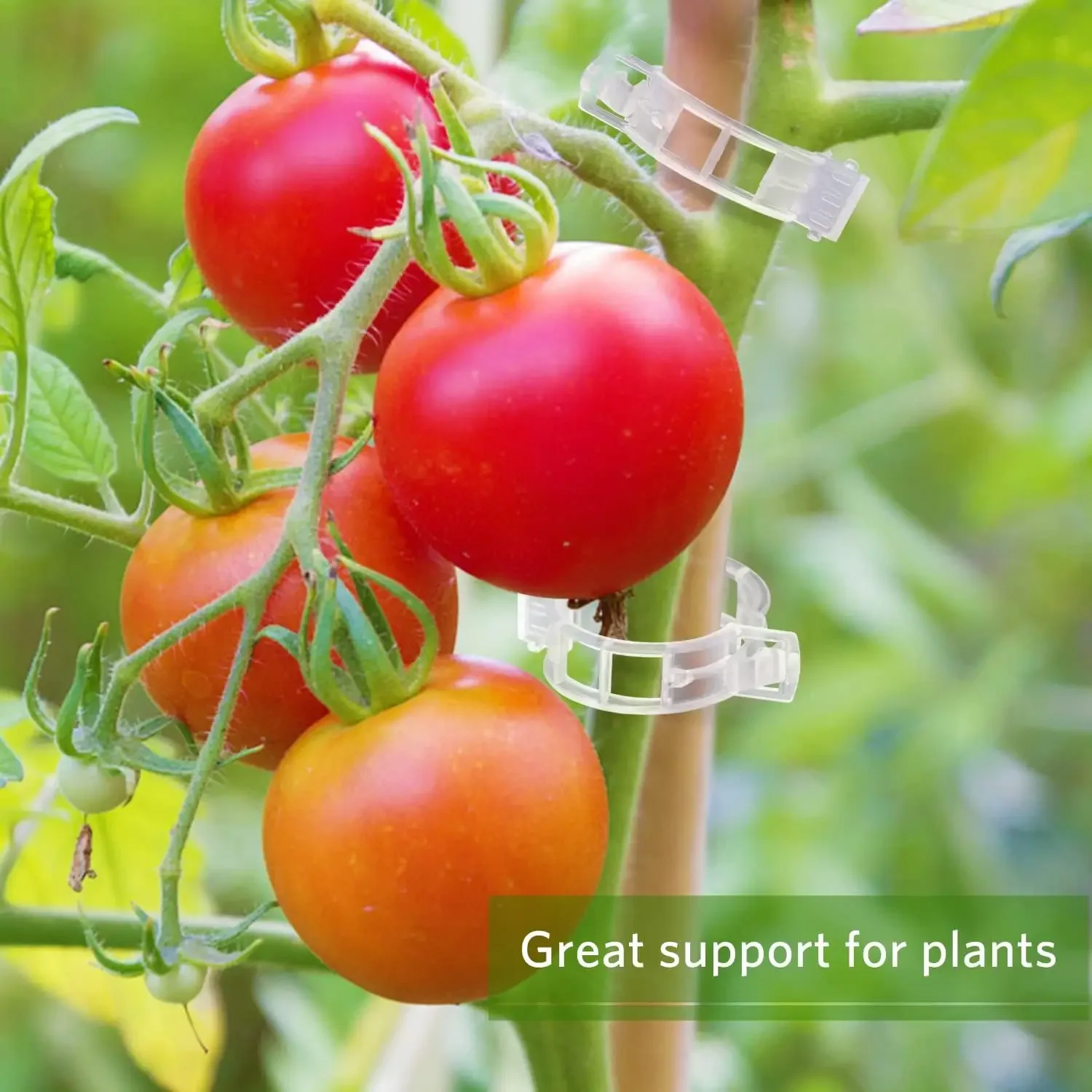 Plant Support Clips Reusable P - огляд і ціна Gardening Tools For Vines