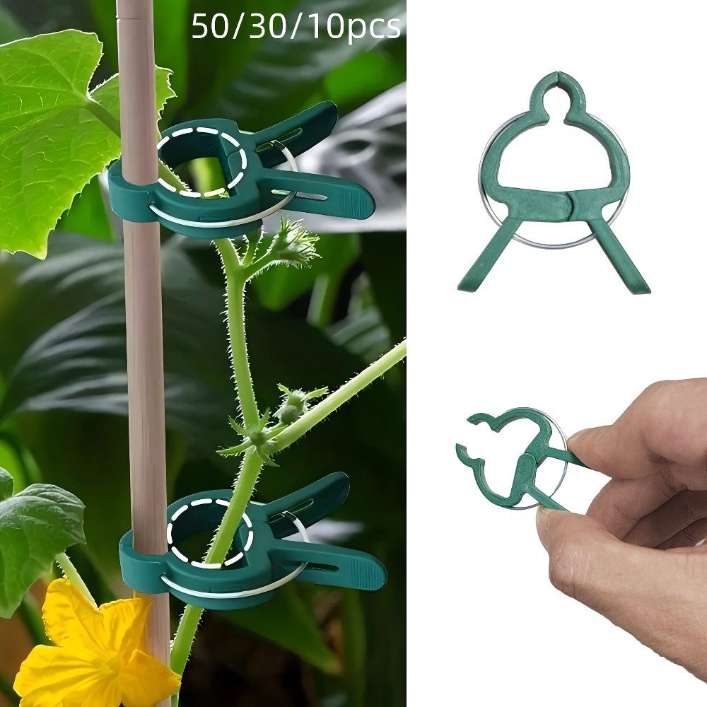 10/30/50pcs Adjustable Plant C - огляд і ціна Gardening Tools For Vines