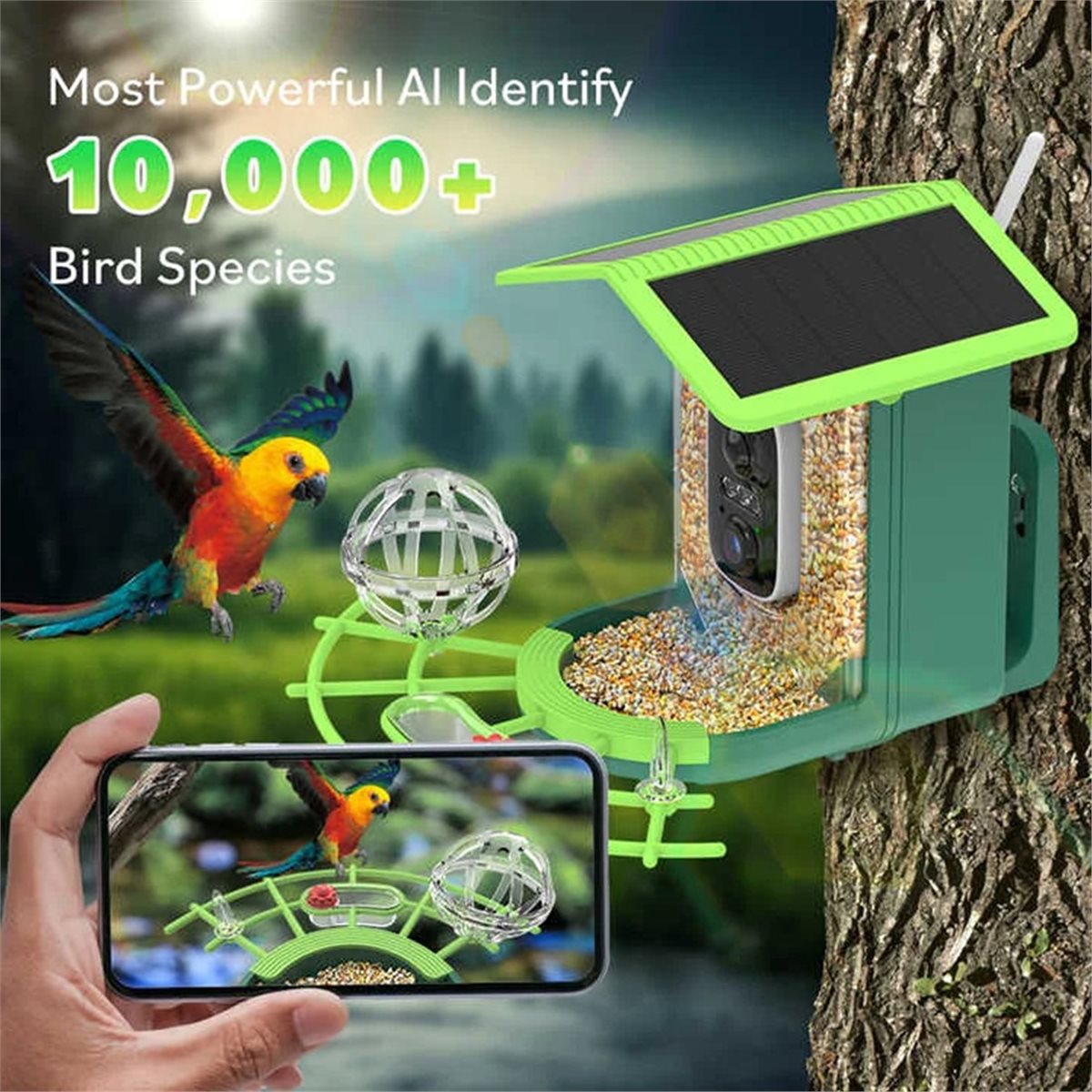 ABPP Smart Bird Feeder Camera  - огляд і ціна Gardening Tools Video