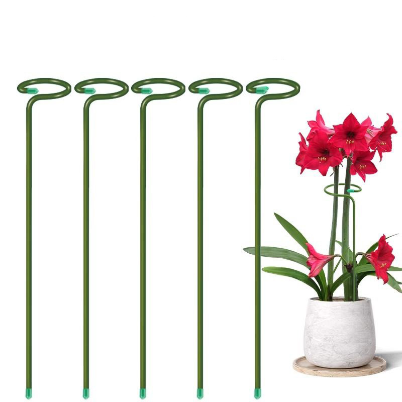 1-10pcs Metal Single Stem Plan - огляд і ціна Gardening Tools For Vines