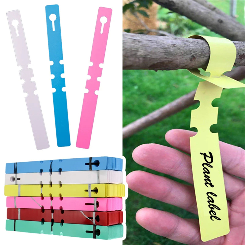 100-200pcs Waterproof Plant Ma - огляд і ціна Gardening Tools Labeled
