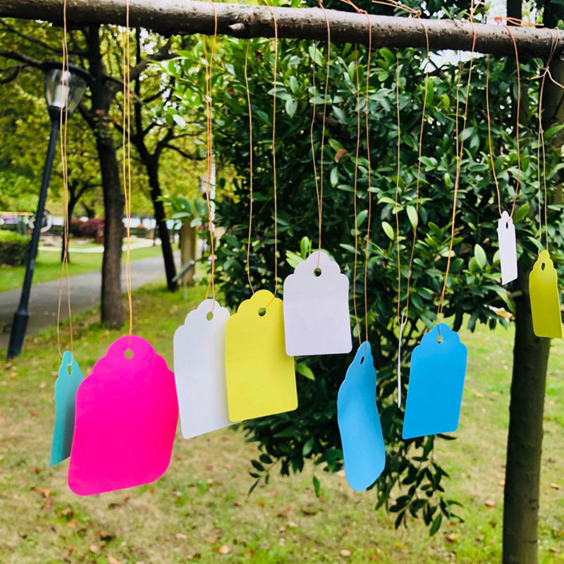 100pcs Plant Labels With Rope  - огляд і ціна Gardening Tools Labeled