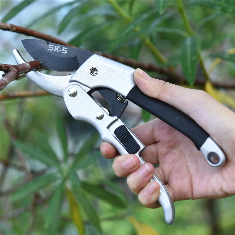 New 20cm Ratchet Plant Trim Ho - огляд і ціна Gardening Tools For Beginners