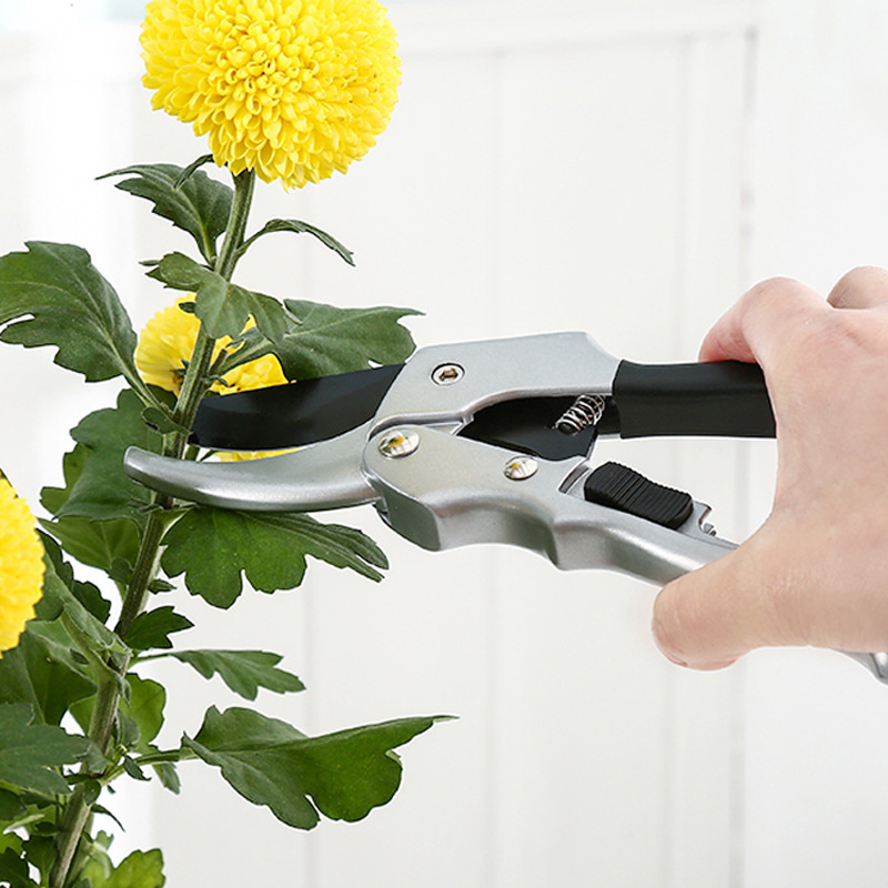 New 20cm Ratchet Plant Trim Ho - огляд і ціна Gardening Tools For Beginners