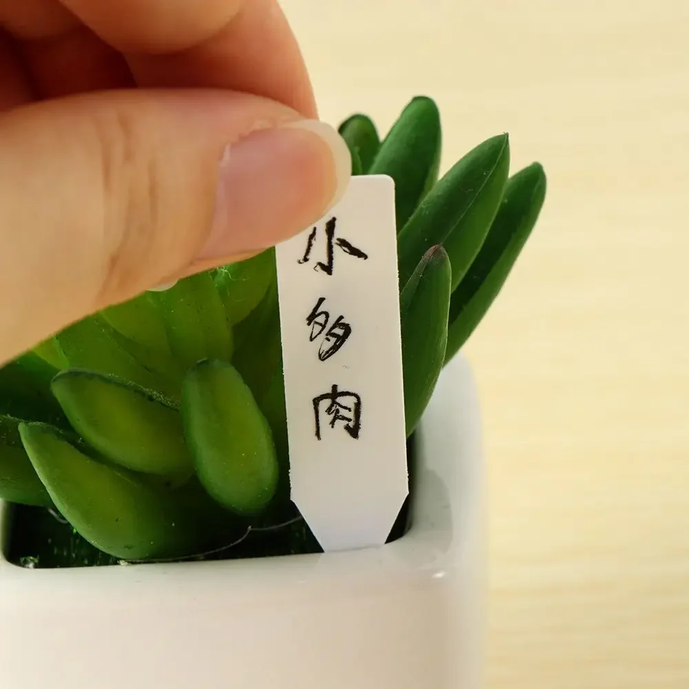 100Pcs Reusable Classification - огляд і ціна Gardening Tools Labeled