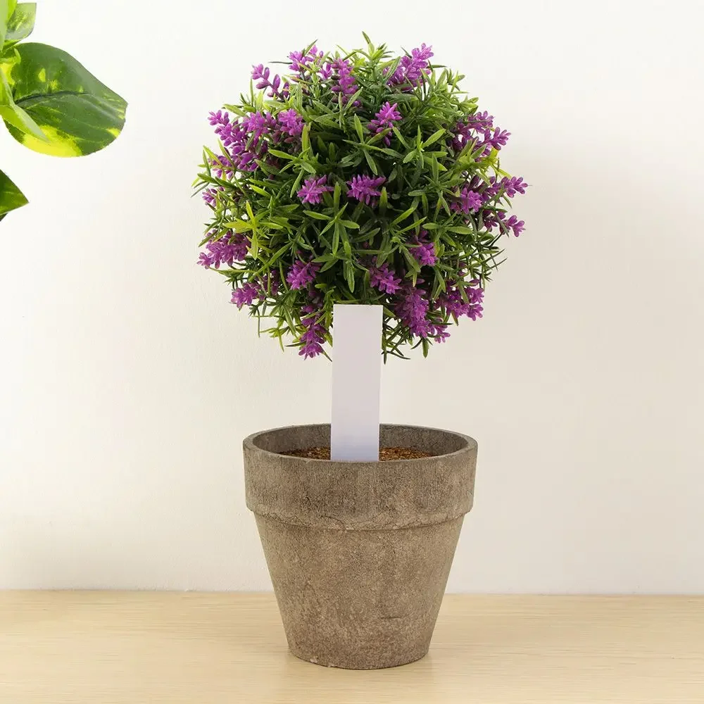 100Pcs Reusable Classification - огляд і ціна Gardening Tools Labeled