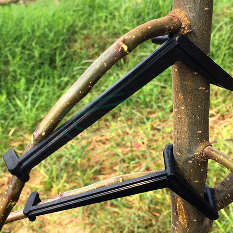 10-30Pcs Fruit Tree Clips Plan - огляд і ціна Gardening Tools For Vines