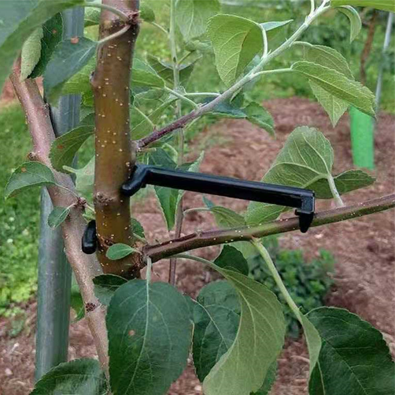 10-30Pcs Fruit Tree Clips Plan - огляд і ціна Gardening Tools For Vines