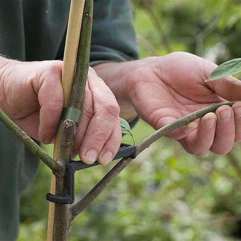 10-30Pcs Fruit Tree Clips Plan - огляд і ціна Gardening Tools For Vines