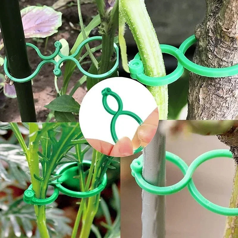 Plastic Garden Vine Strapping  - огляд і ціна Gardening Tools For Vines
