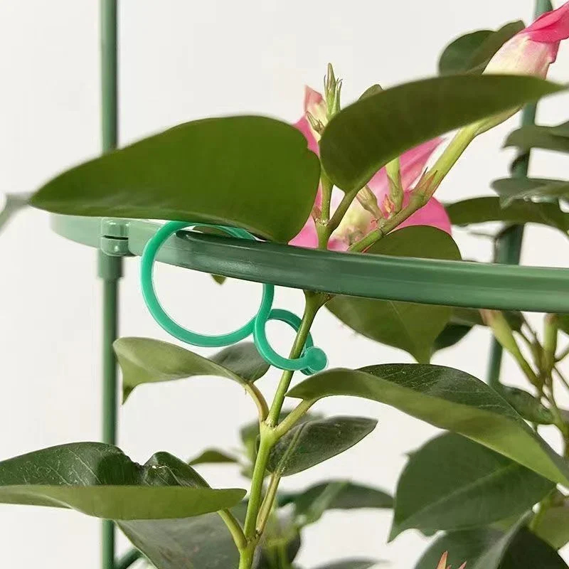 Plastic Garden Vine Strapping  - огляд і ціна Gardening Tools For Vines