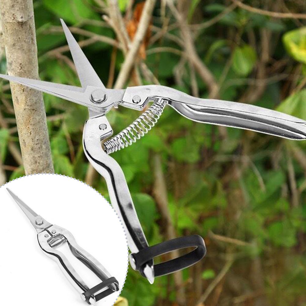 Pruner Pruning Shears Gardenin - огляд і ціна Gardening Hand Tools Yard